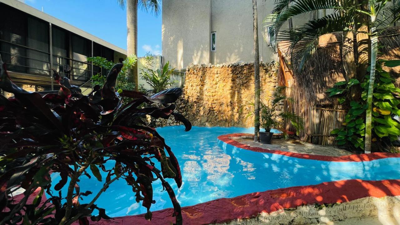 Hotel B&B - Playa Del Carmen Bagian luar foto The pool at the hotel